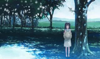 不是因为想你才寂寞