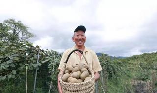 奔跑在田野上心情好与不好