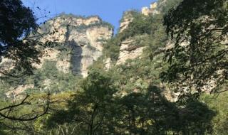 高山仰止景行行止的意思