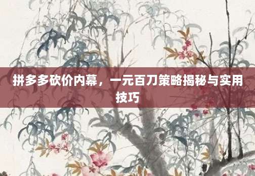 拼多多砍价内幕，一元百刀策略揭秘与实用技巧