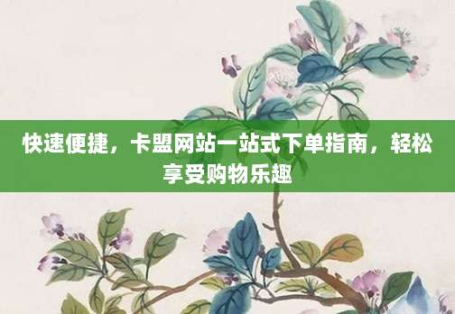 快速便捷，卡盟网站一站式下单指南，轻松享受购物乐趣