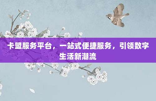 卡盟服务平台，一站式便捷服务，引领数字生活新潮流