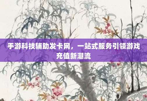 手游科技辅助发卡网，一站式服务引领游戏充值新潮流