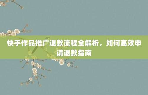 快手作品推广退款流程全解析，如何高效申请退款指南