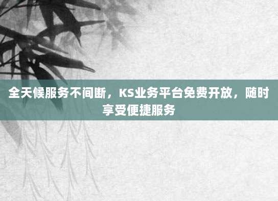 全天候服务不间断，KS业务平台免费开放，随时享受便捷服务
