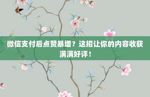 微信支付后点赞暴增？这招让你的内容收获满满好评！