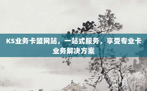 KS业务卡盟网站，一站式服务，享受专业卡业务解决方案