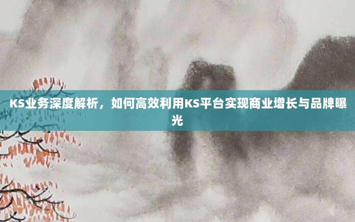 KS业务深度解析，如何高效利用KS平台实现商业增长与品牌曝光