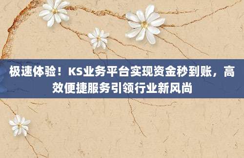 极速体验！KS业务平台实现资金秒到账，高效便捷服务引领行业新风尚