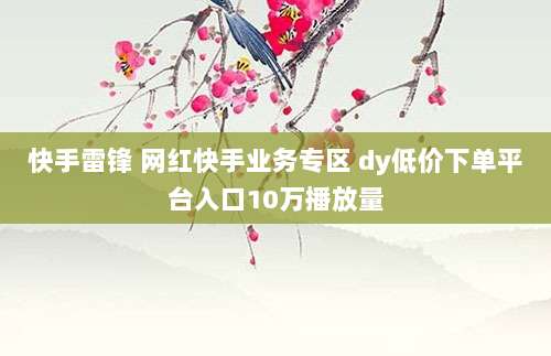 快手雷锋 网红快手业务专区 dy低价下单平台入口10万播放量