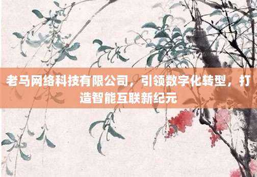 老马网络科技有限公司，引领数字化转型，打造智能互联新纪元