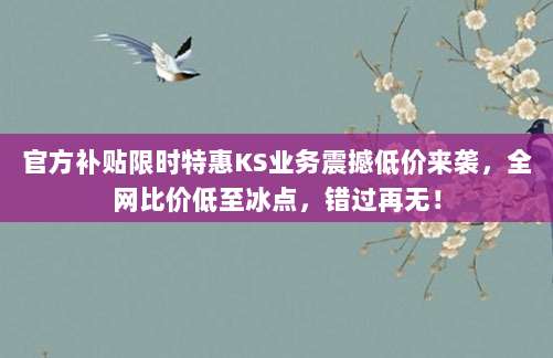 官方补贴限时特惠KS业务震撼低价来袭，全网比价低至冰点，错过再无！