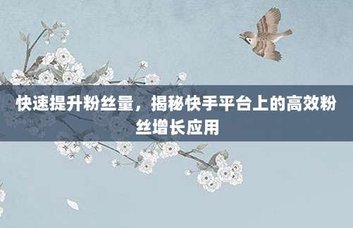 快速提升粉丝量，揭秘快手平台上的高效粉丝增长应用