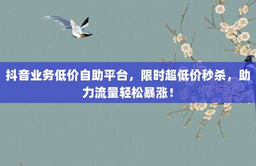 抖音业务低价自助平台，限时超低价秒杀，助力流量轻松暴涨！