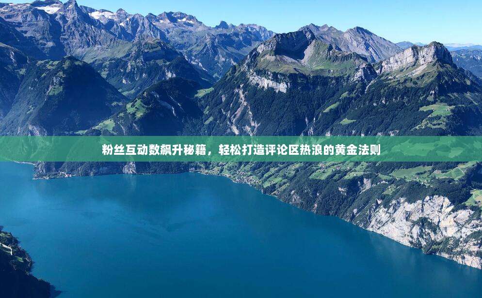 粉丝互动数飙升秘籍，轻松打造评论区热浪的黄金法则