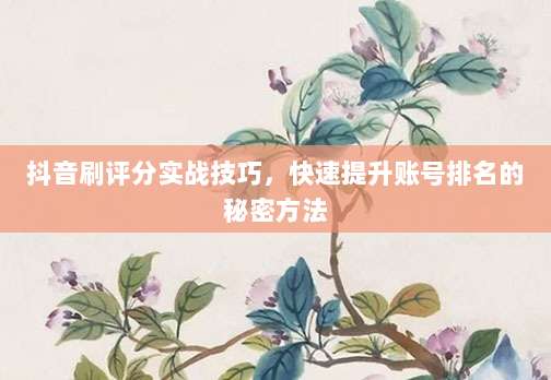 抖音刷评分实战技巧，快速提升账号排名的秘密方法