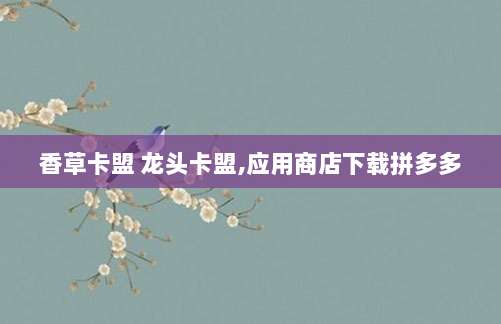 香草卡盟 龙头卡盟,应用商店下载拼多多